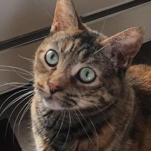 Meet your Posher, Lynda